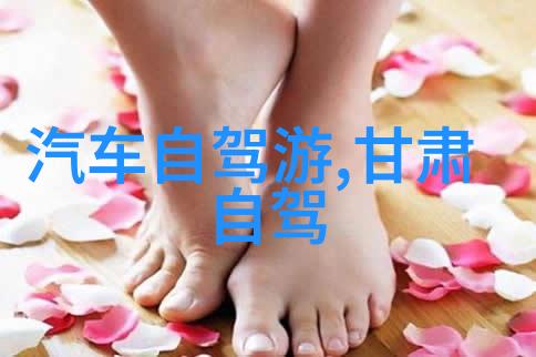 探索奇迹我在初中生涯中的800字游记之旅
