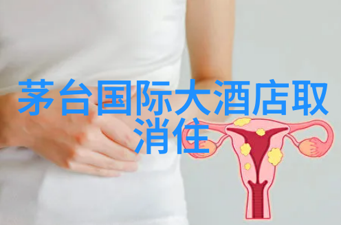 探索中国最好玩的旅游城市发现非凡的魅力与冒险