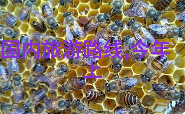 上海周边滑雪场最佳选择完美团建活动策划地选哪个