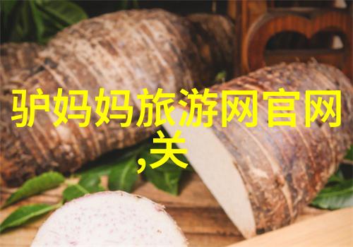 悠然行体验洛阳城乡的田园生活