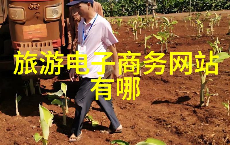 京都风情与现代活力上海一座融合都市