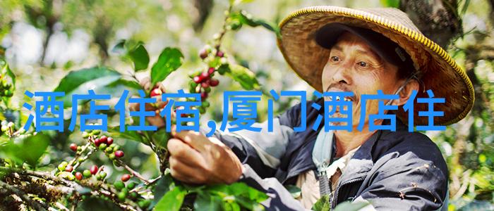 骑行网连接每一个山谷与城市的共享之路