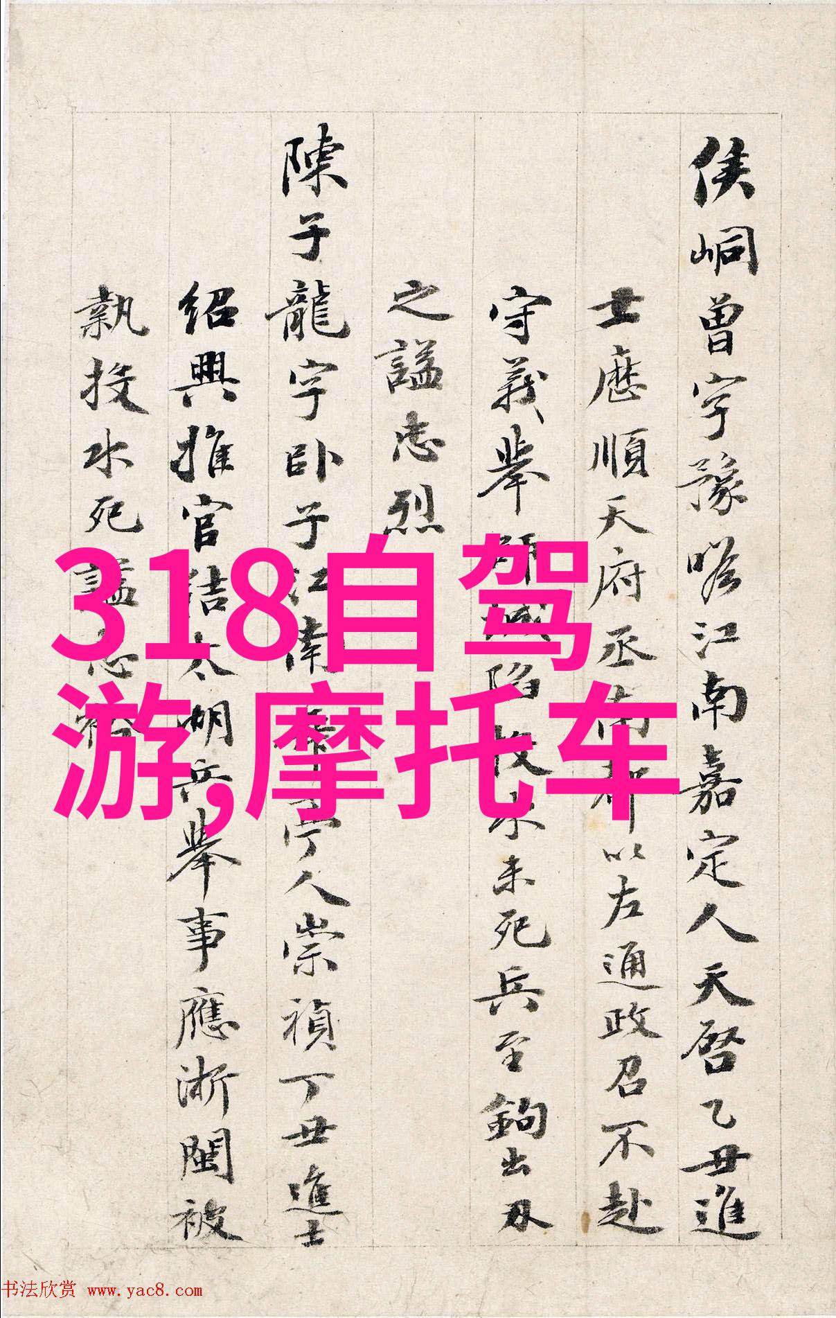 幼儿园小班户外活动有哪些-探索童年丰富的户外玩耍方式