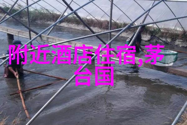 户外拓展活动的目的和意义来点实操让团队更紧密