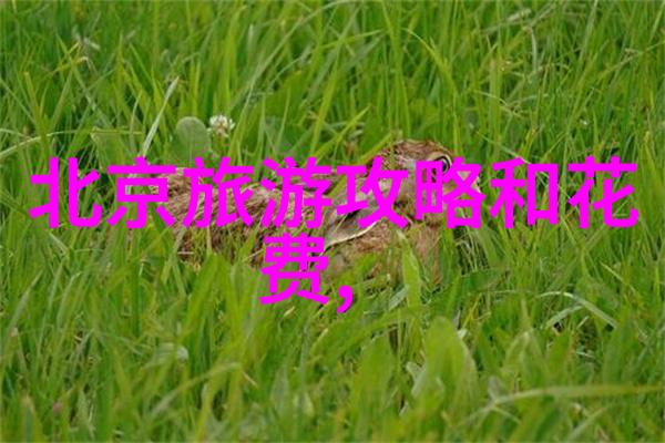 国门重启外国朋友们的归来之歌
