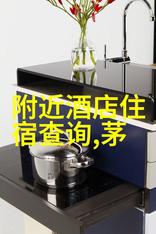 星辰之光簪璀璨如星的装饰品