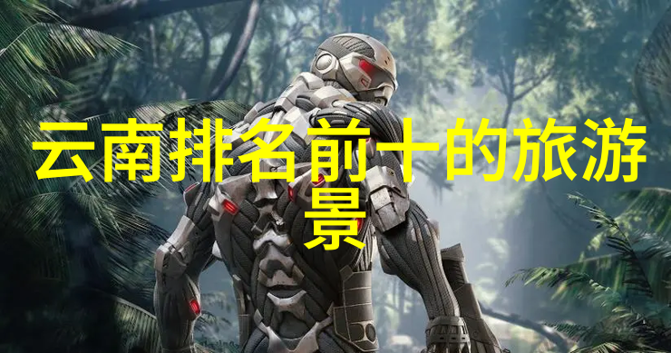 跨国边界的互动中国日本视频直播平台对比分析