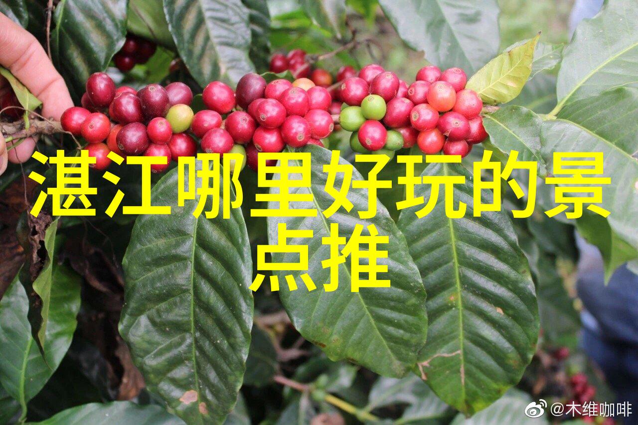 春暖花开的美丽旅程探索中国四季最佳旅游景点