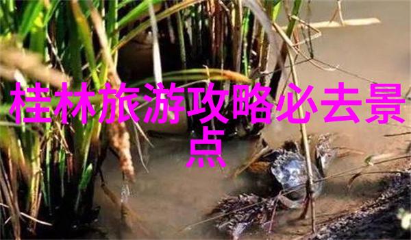 宁波旅游攻略来吧一起探索这座美丽城市的秘密角落