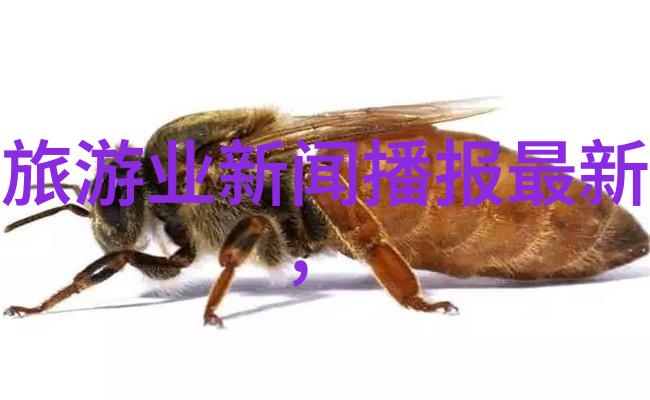 宁夏回族自治区美食大探索尝遍绿洲里的特色菜肴
