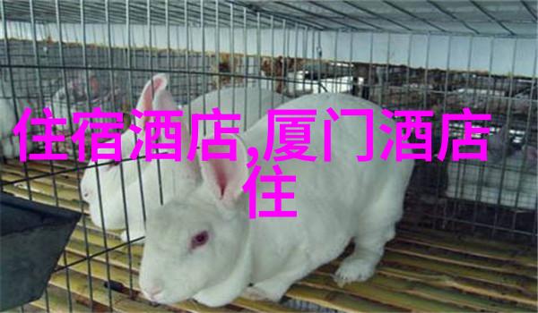 周边探险之旅加入我们的附近旅游团报名开启未知的乐趣之旅