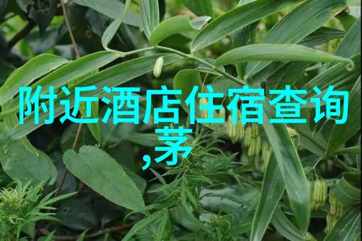 大理5日游一般多少钱-探索天蓝之城大理五日游行程与预算指南