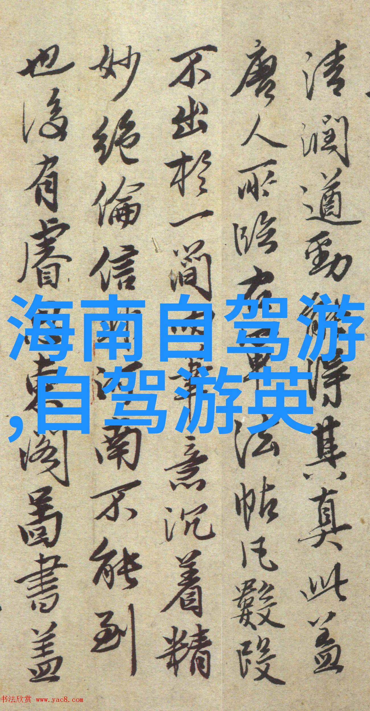 户外探险孩子们的色彩斑斓世界