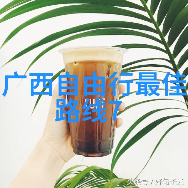 探索骑行之旅剖析各大骑行记录软件选择最佳伴侣
