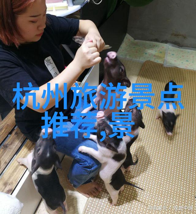 妖孽传说中的神秘力量