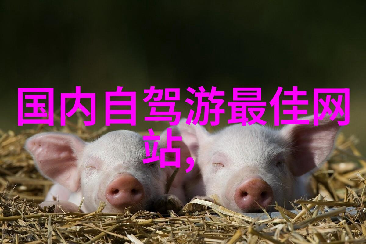 扬州美食与古韵探索江南水乡的不仅仅是景色