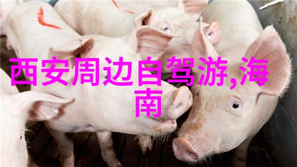年度骑行伴侣揭秘2022最受欢迎的骑行软件下载排行榜