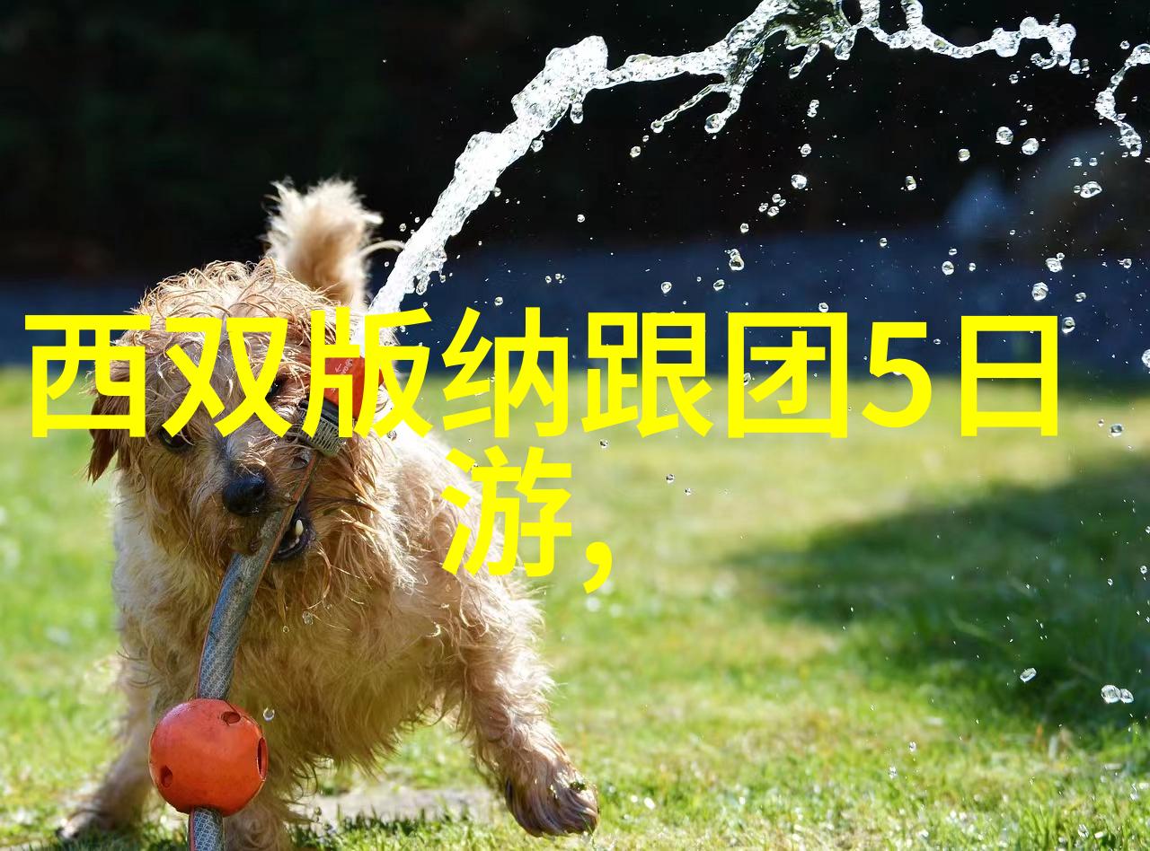 2022武汉黄陂露营地点推荐探索户外拓展活动的意义携带必备物品体验自然之美
