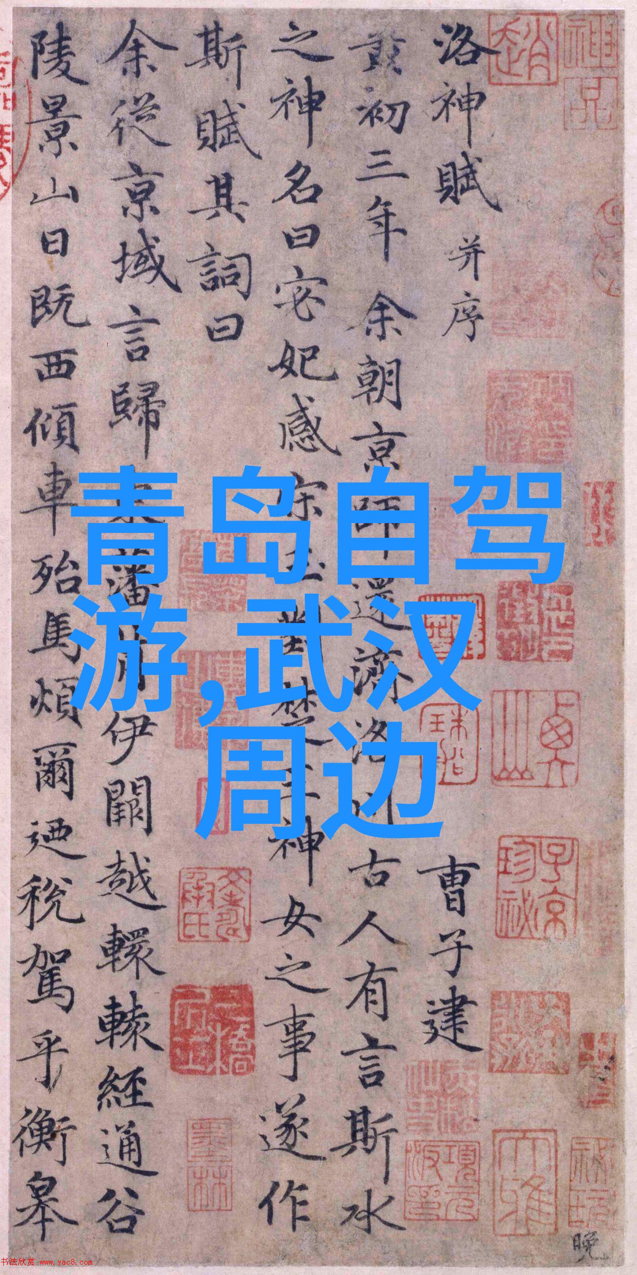 春天里的上海自驾游追逐花开的美好时光