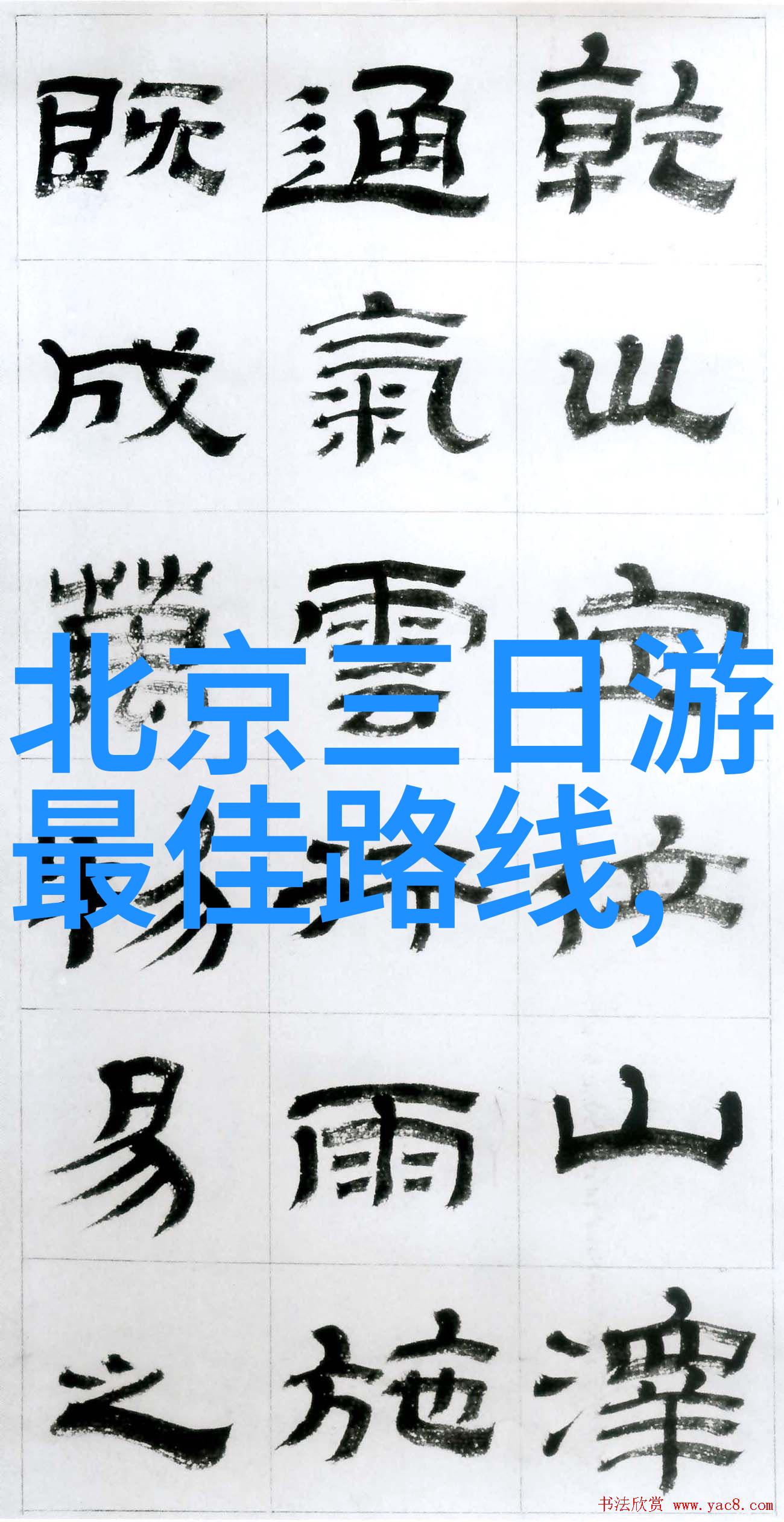 重生之归零从废墟到新希望的旅程