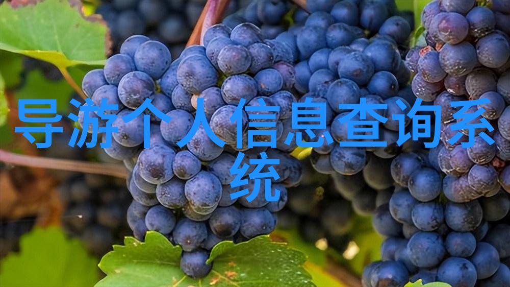 内蒙古自驾游最佳路线我去年夏天的那趟内蒙古大冒险从呼和浩特到鄂尔多斯再到赤峰