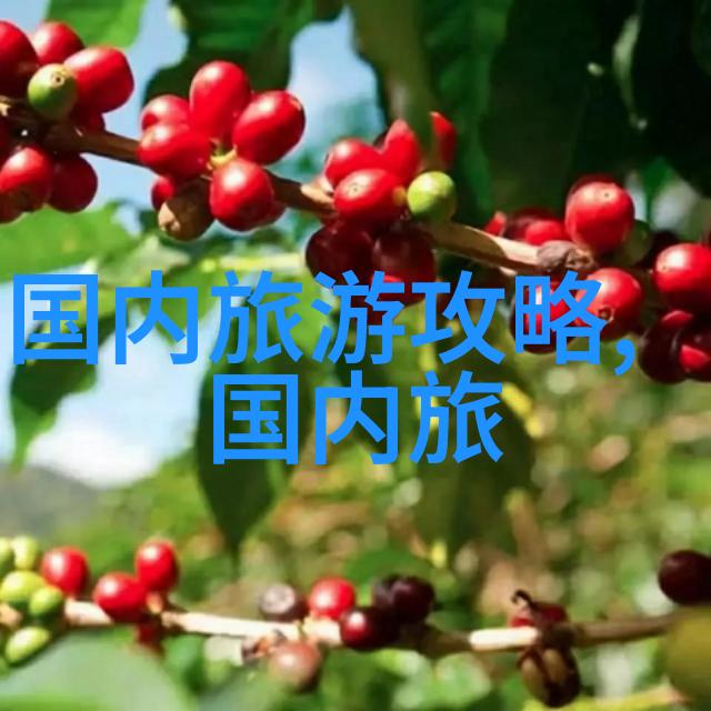 旅行中不可或缺的美味零食量贩排名前十名