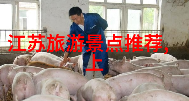 哈尔滨美食如云端飘香北京特产小吃送人间