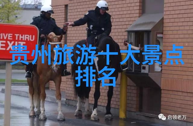 全国旅游监管平台导游服务系统国家旅游局官方认证