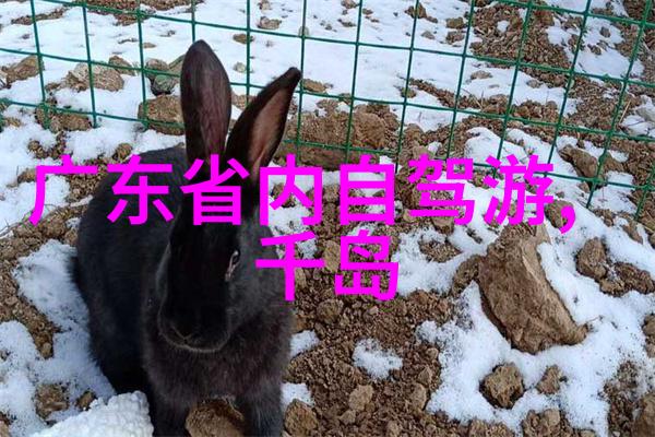 上海最有名的美食各地小吃排行榜