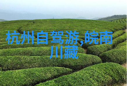 游记作文350字-探索时光之旅忆往昔的海滨日子