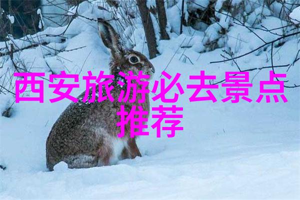 心情抑郁时去哪里旅游才能找到心灵的慰藉