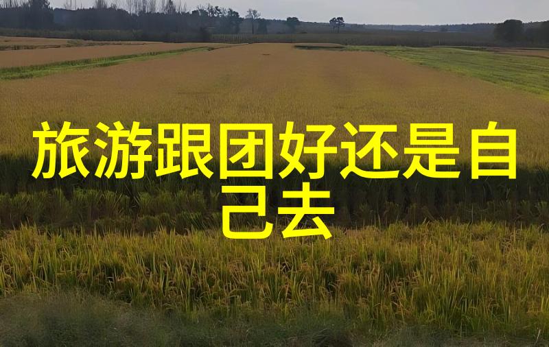 百草园与三味书屋的旅行故事四年级上册旅游作文400字的感受之旅