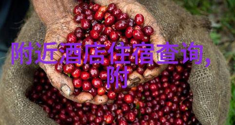 舟山自驾游-碧波荡漾探索舟山群岛的自驾乐章