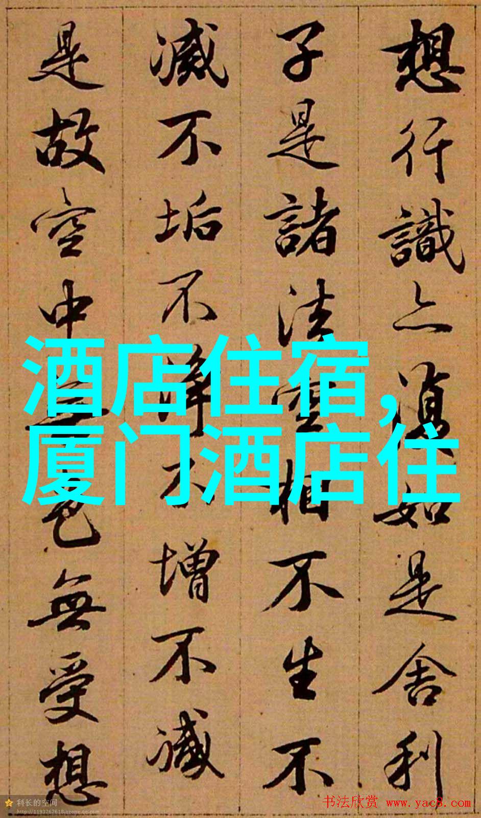 上海自驾游探索海城的秘密角落