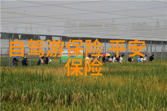 定西玉湖公园