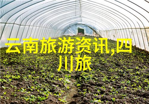 喀什之旅探索新疆边陲古城的魅力