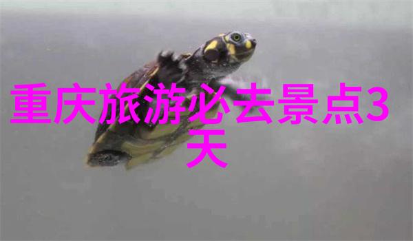 在这个寒冷而宁静的夜晚我们将把你带入一个又一个神秘故事
