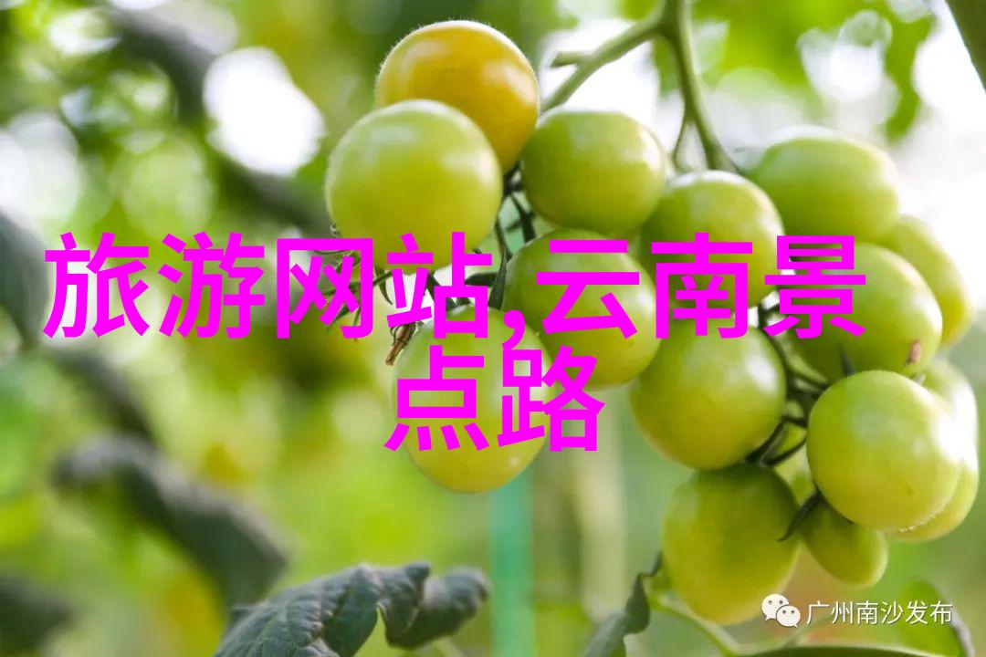 中国国际旅行社官方网站-探索中国之旅在官方网站上发现未知的魅力