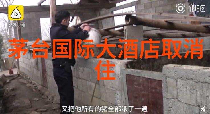 绍兴古运河游船体验探索历史风貌的水上奇遇