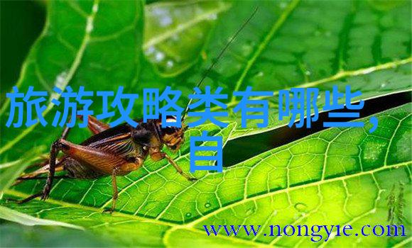 尤物皇后免费阅读全文概览