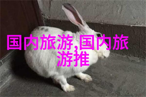 西部风情探索川西自驾游之旅