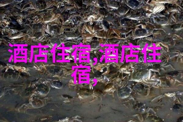 实时旅游新闻亲眼见证巴厘岛火山爆发的惊心动魄