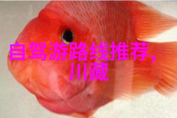 旅游-现在去哪些国家可以旅游