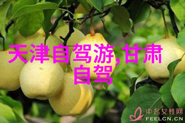 武汉美食之都品尝当地特色小吃武汉热干面东湖烤鱼