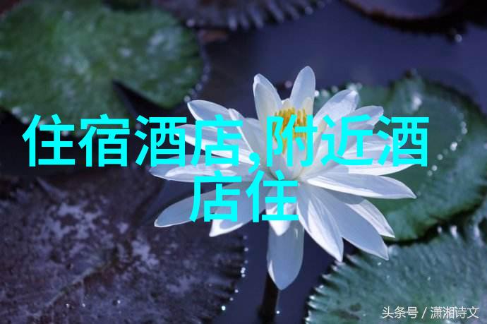 贵州探秘之旅畅游黔东南的风情古镇与壮丽自然景观