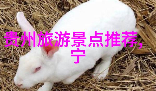 日本无人区一线影视探索日本荒凉美丽的边界