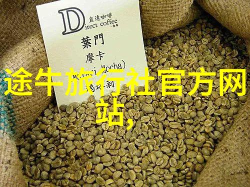 绫华的扑克之旅地板上的胜利与梦想