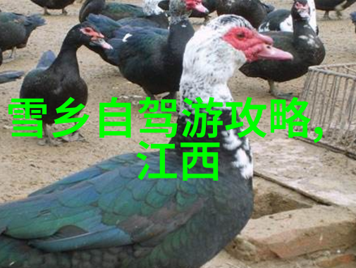 生态行走推荐一条环保友好的自助徒步之旅线路