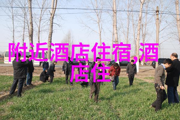 探究公认最好省力自行车设计理念及其对节能减碳的贡献