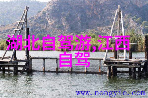 青春绘卷回忆永存  我的一次家庭旅游经历
